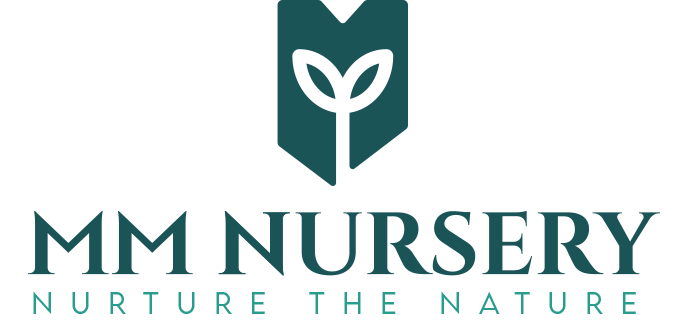 A greenish logo of best online plant nursery in Kerala , MMnursery. The logo have  emblem with letters showing MMnursery.