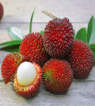 Rambuttan a tropical fruit plant with rich vitamins and minerals . sweet and juicy little package.intensify red blood cells.