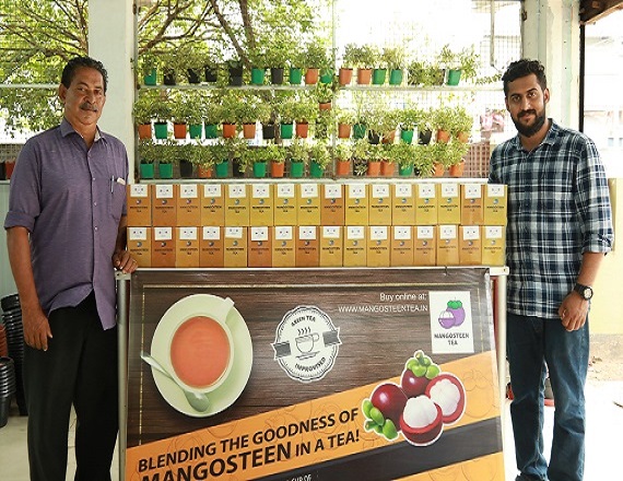 Budded and Non Budded Nutmeg plants .Best budding and grafting nursery in Kerala. High Quality nutmeg plant in Kochi